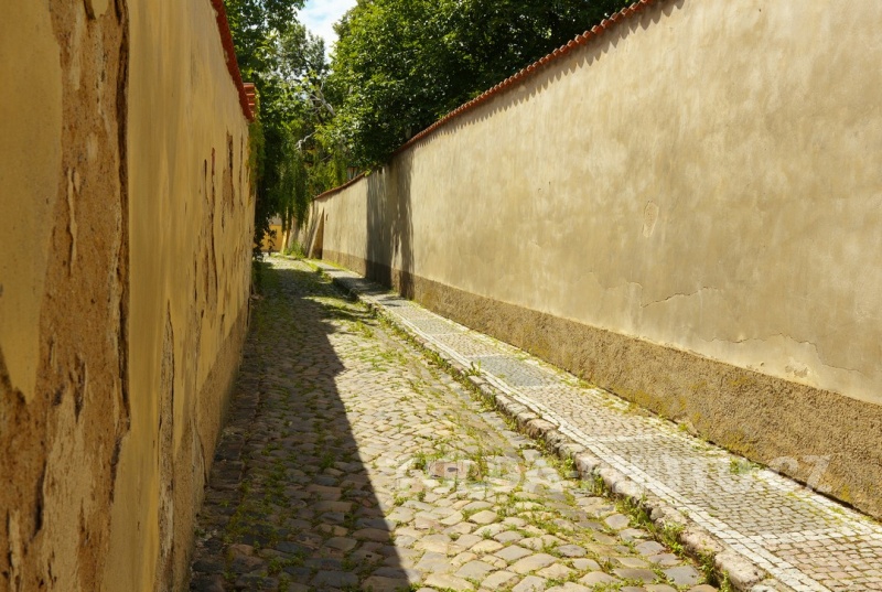 Praha